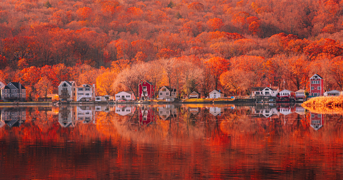 beautiful colorful red orange leaves fall autumn in CT housatonic river by Heather Liebensohn of Zen Mantis dot com